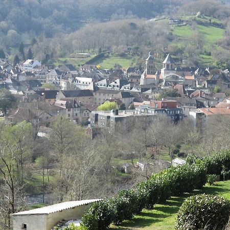 Le Petit Chat Beaulieu-sur-Dordogne Dış mekan fotoğraf